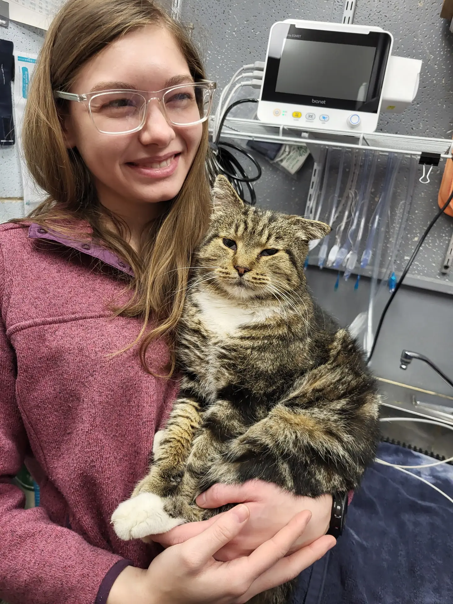 Veterinary team member holding a relaxed tabby cat during a visit inside an exam room at a veterinary clinic.